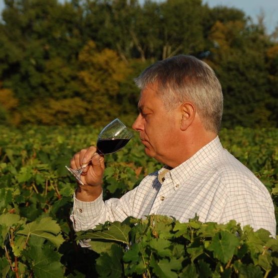 vignes à vendre france