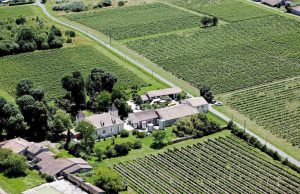 A vendre Propriété Viticole en Blaye Côtes de Bordeaux