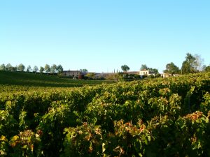 vente chateau vignoble bordeaux cotes-bourg