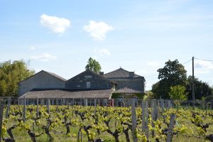 Vente Propriété viticole Bordeaux