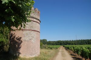 vente propriété viticole barsac