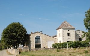 vineyard sale saint emilion