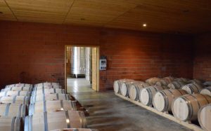 vineyard sale saint emilion